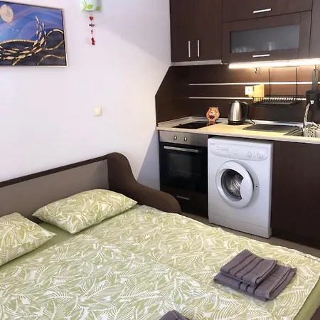 Black Sea Shark Apartament *