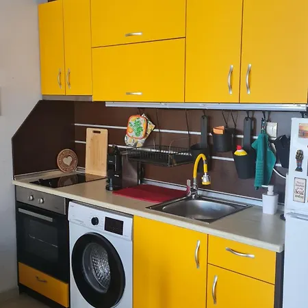 Black Sea Shark Apartament *