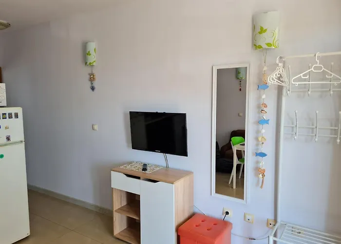 Apartment Black Sea Shark